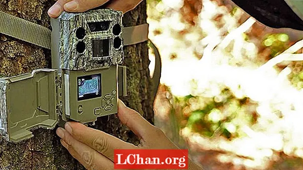 As melhores câmeras de trilha em 2021: as melhores armadilhas fotográficas para a vida selvagem