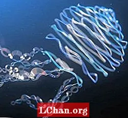 Керемет 3D қысқа теңіз зергерлік бұйымдарын көрсетеді