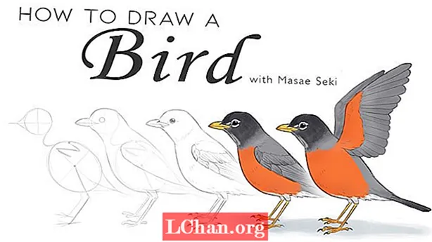 Hvordan man tegner en fugl