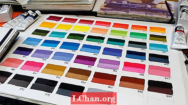 PASS Color hibrid festékek