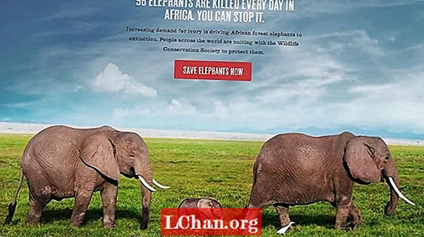 Этот стильный сайт призван защитить африканского слона.