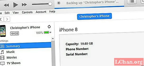 So sichern Sie ein iPhone in wenigen Minuten auf einem Computer